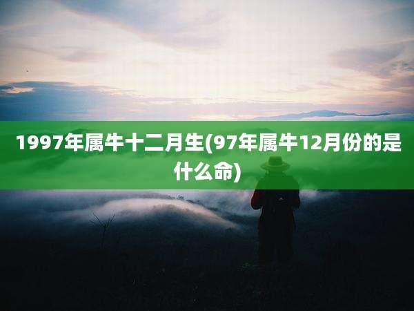 1997年属牛十二月生(97年属牛12月份的是什么命)