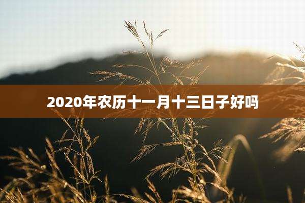 2020年农历十一月十三日子好吗
