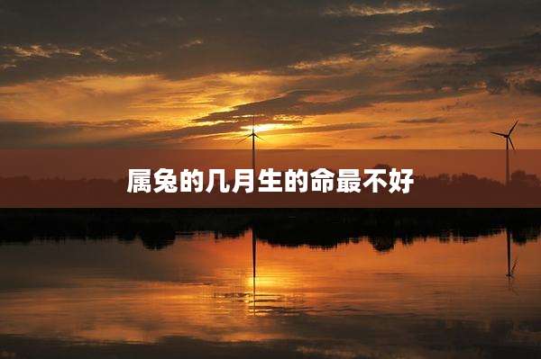 属兔的几月生的命最不好