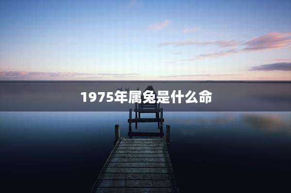 1975年属兔是什么命