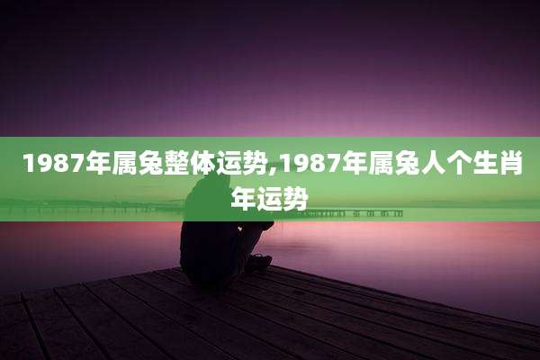 1987年属兔整体运势,1987年属兔人个生肖年运势