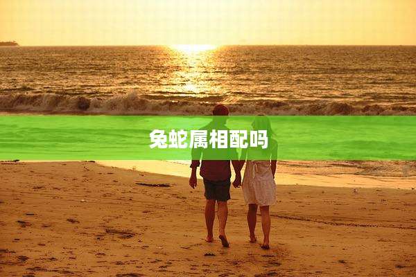 兔蛇属相配吗