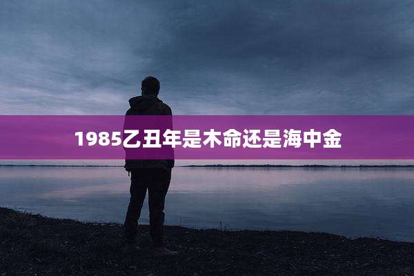 1985乙丑年是木命还是海中金