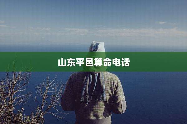 山东平邑算命电话