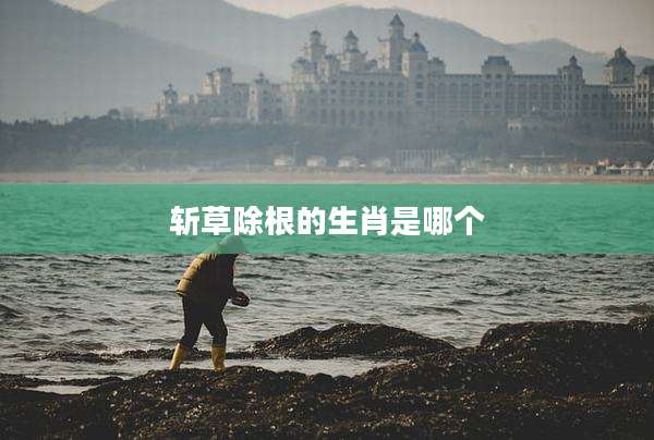 斩草除根的生肖是哪个