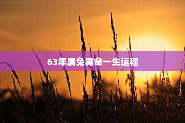 63年属兔男命一生运程