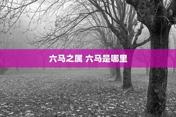 六马之属 六马是哪里