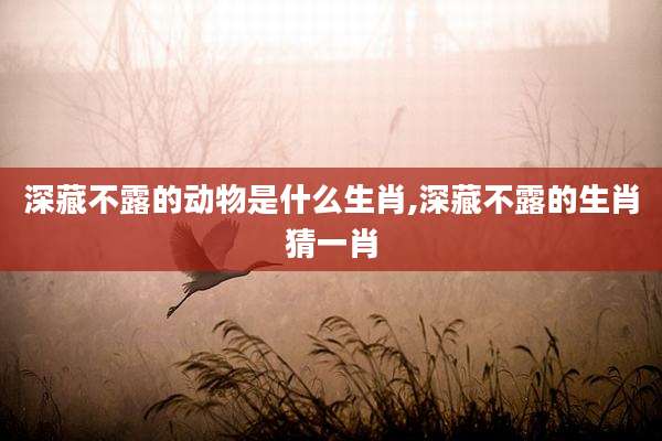 深藏不露的动物是什么生肖,深藏不露的生肖猜一肖