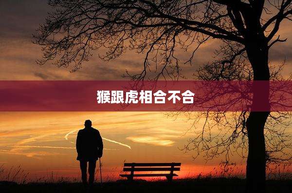 猴跟虎相合不合