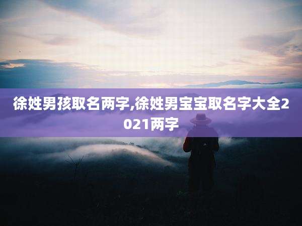 徐姓男孩取名两字,徐姓男宝宝取名字大全2021两字