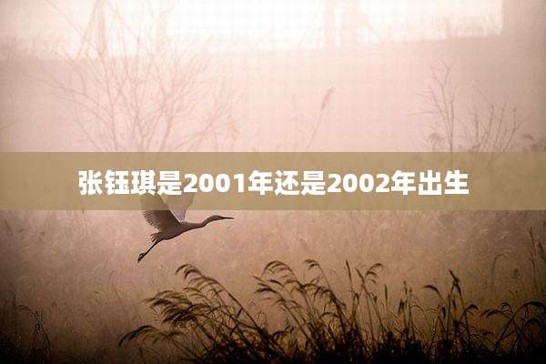 张钰琪是2001年还是2002年出生