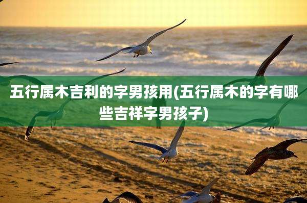 五行属木吉利的字男孩用(五行属木的字有哪些吉祥字男孩子)