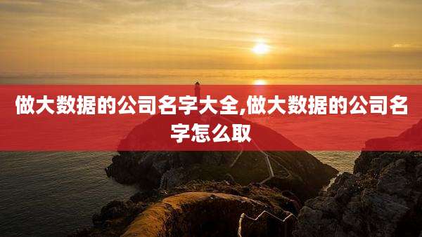 做大数据的公司名字大全,做大数据的公司名字怎么取