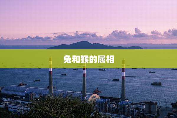 兔和猴的属相