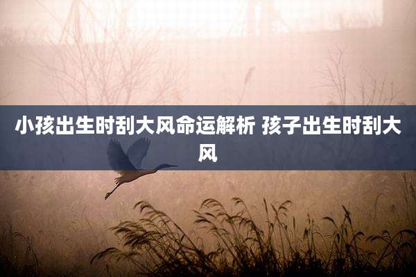 小孩出生时刮大风命运解析 孩子出生时刮大风