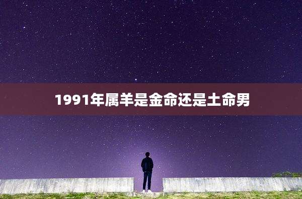 1991年属羊是金命还是土命男
