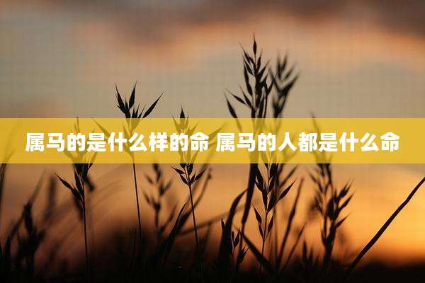 属马的是什么样的命 属马的人都是什么命