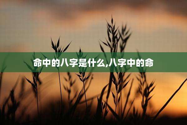 命中的八字是什么,八字中的命