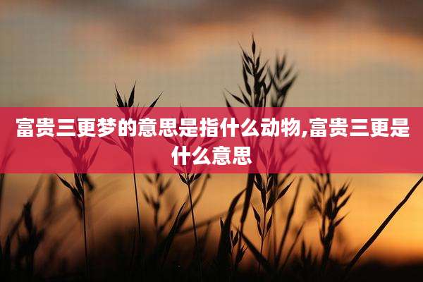 富贵三更梦的意思是指什么动物,富贵三更是什么意思