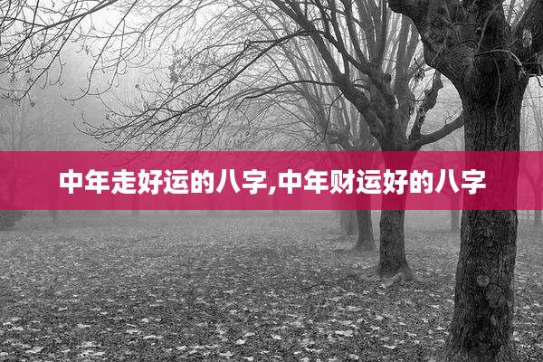 中年走好运的八字,中年财运好的八字