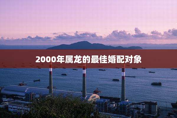 2000年属龙的最佳婚配对象