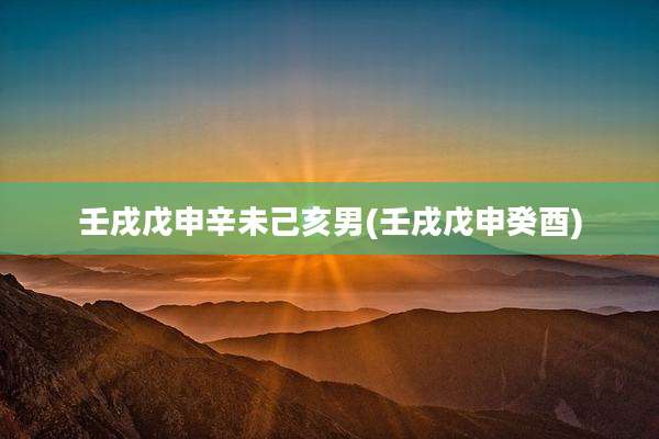 壬戌戊申辛未己亥男(壬戌戊申癸酉)