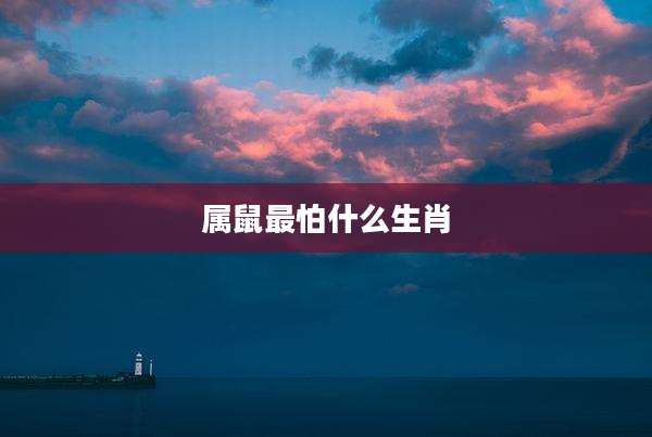 属鼠最怕什么生肖