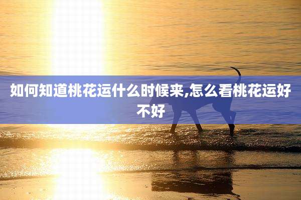 如何知道桃花运什么时候来,怎么看桃花运好不好