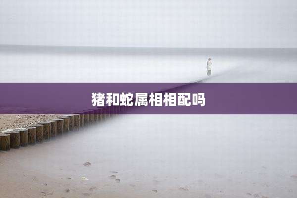 猪和蛇属相相配吗