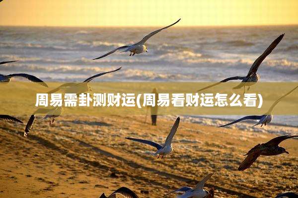周易需卦测财运(周易看财运怎么看)