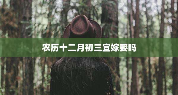 农历十二月初三宜嫁娶吗