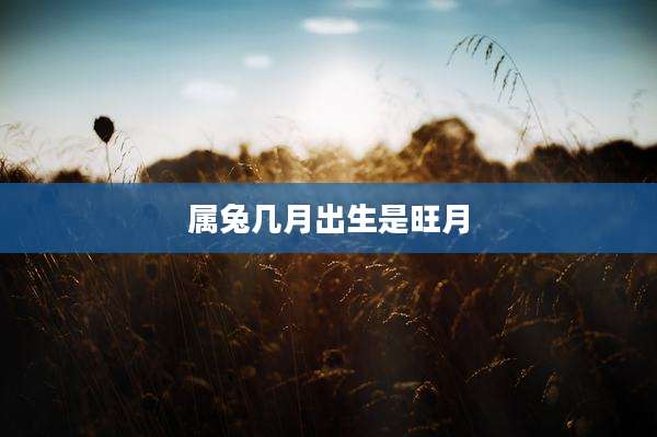 属兔几月出生是旺月