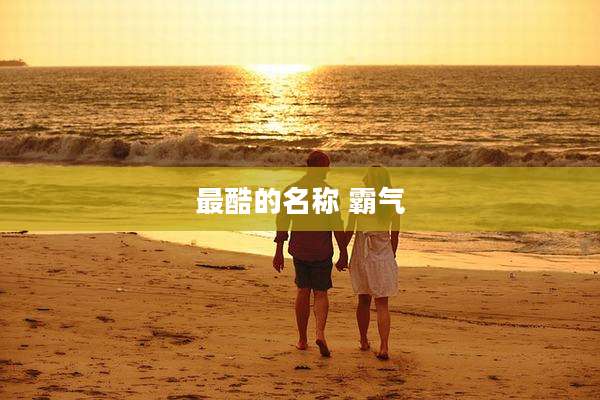 最酷的名称 霸气