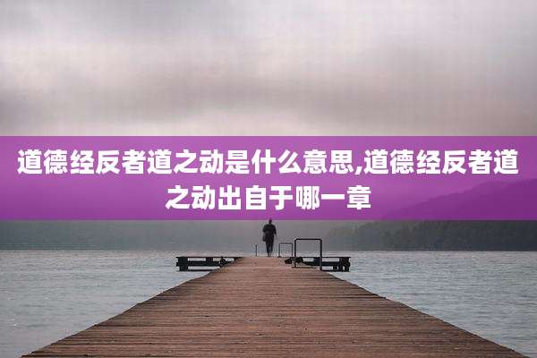 道德经反者道之动是什么意思,道德经反者道之动出自于哪一章