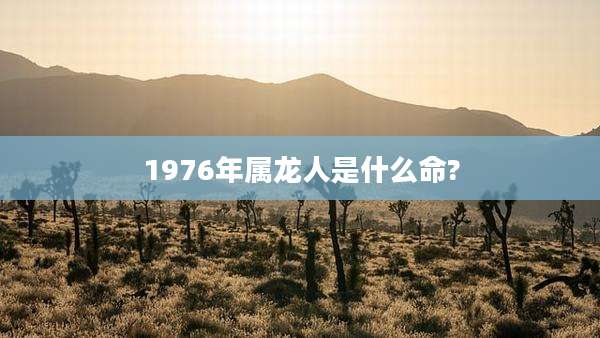 1976年属龙人是什么命?