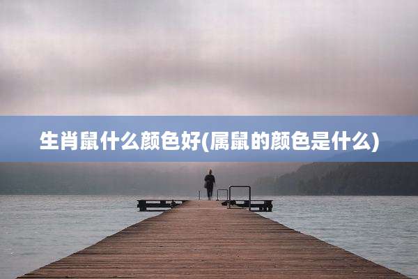 生肖鼠什么颜色好(属鼠的颜色是什么)