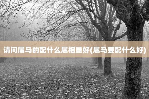 请问属马的配什么属相最好(属马要配什么好)