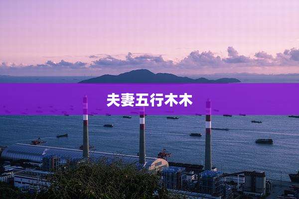 夫妻五行木木