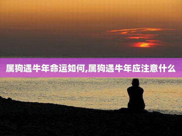 属狗遇牛年命运如何,属狗遇牛年应注意什么