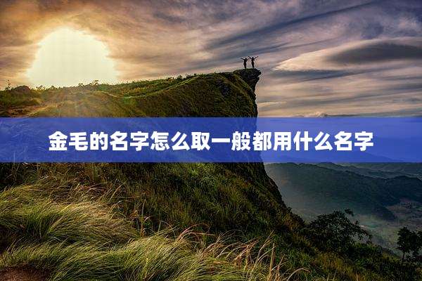 金毛的名字怎么取一般都用什么名字