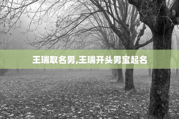 王瑞取名男,王瑞开头男宝起名