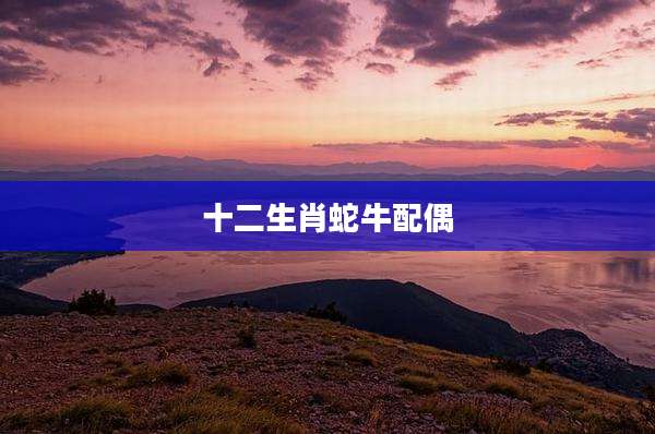 十二生肖蛇牛配偶