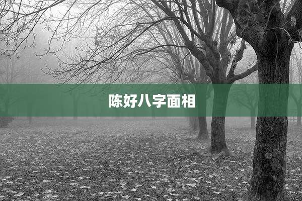 陈好八字面相