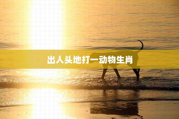 出人头地打一动物生肖