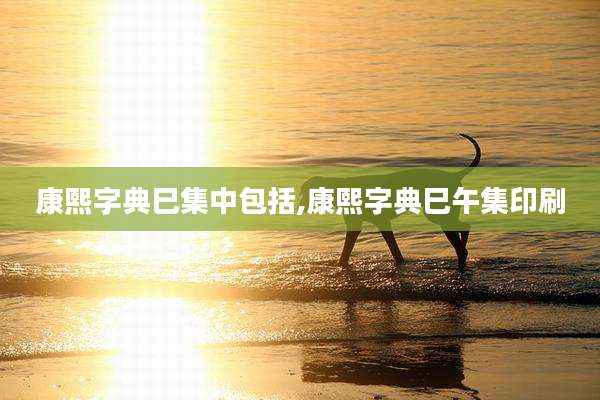 康熙字典巳集中包括,康熙字典巳午集印刷