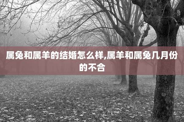 属兔和属羊的结婚怎么样,属羊和属兔几月份的不合