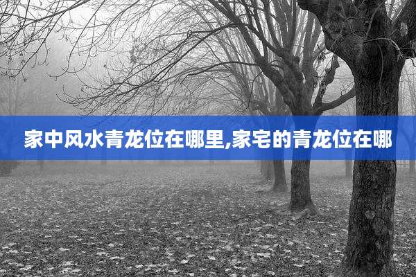 家中风水青龙位在哪里,家宅的青龙位在哪
