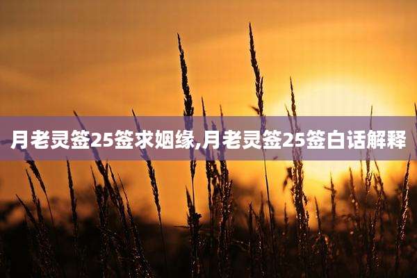 月老灵签25签求姻缘,月老灵签25签白话解释