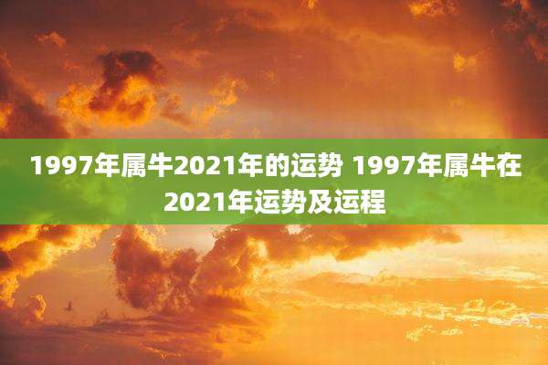 1997年属牛2021年的运势 1997年属牛在2021年运势及运程