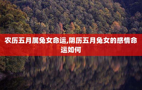 农历五月属兔女命运,阴历五月兔女的感情命运如何